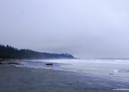 A Weekend in Tofino: Chasing Storms, Finding Calm
